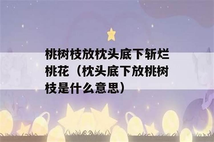 1975属兔2025年的运势及运程