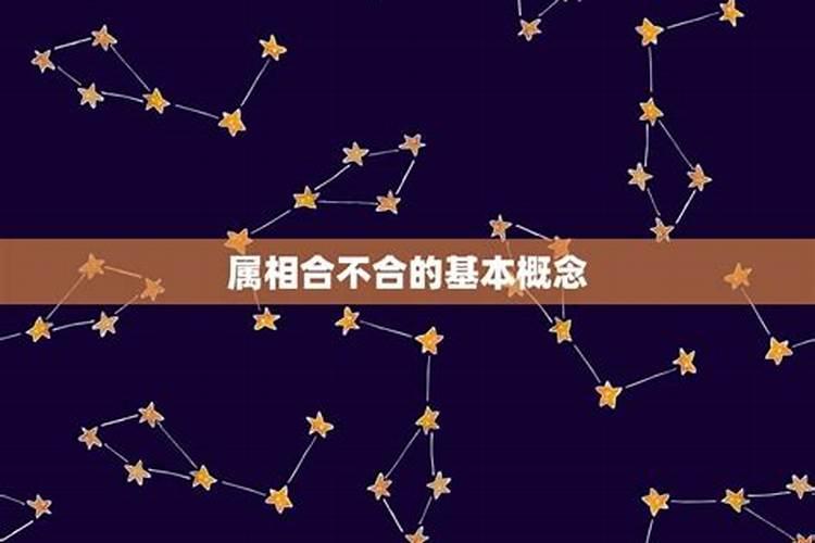 属兔男和属兔女适合做夫妻吗