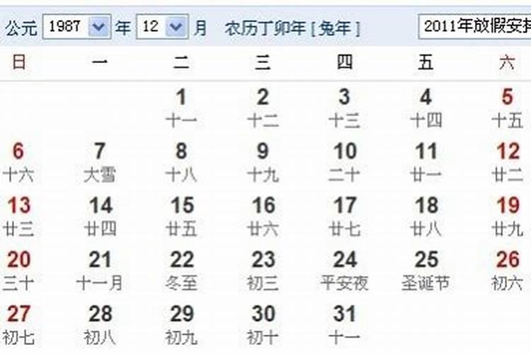 生肖兔2025年运势及运程如何