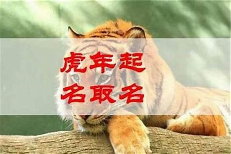 2023年十月廿九出生林姓男孩名字叫什么