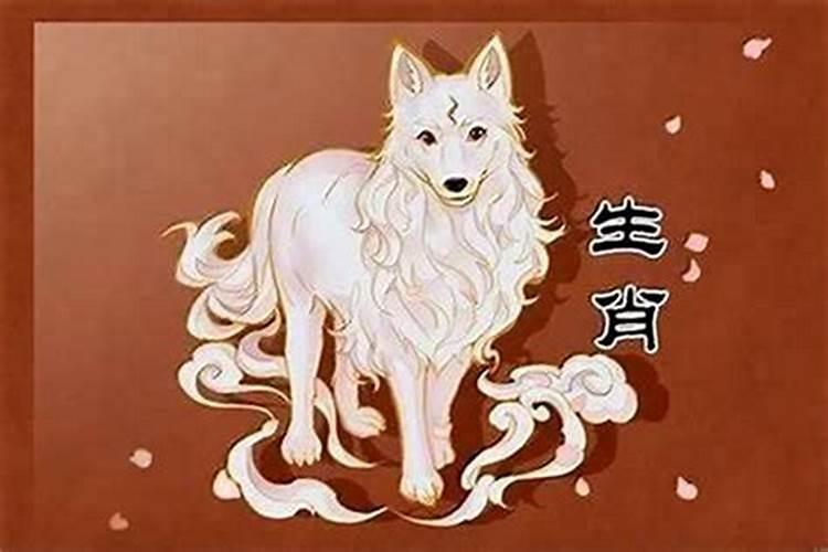 1982年属狗人2024年运势完整版
