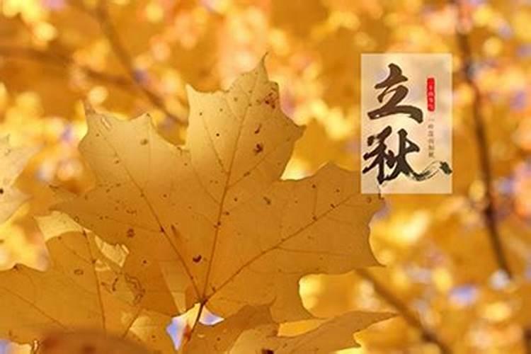 清明有免过路费吗