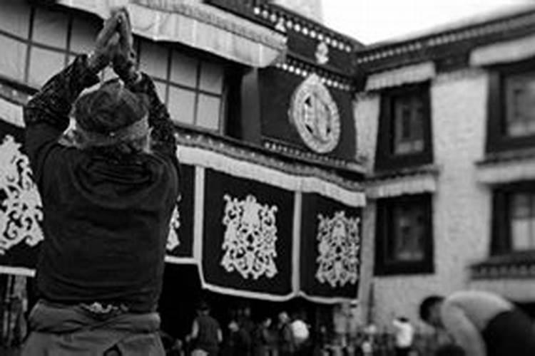 1980年农历9月9日出生人命运如何？