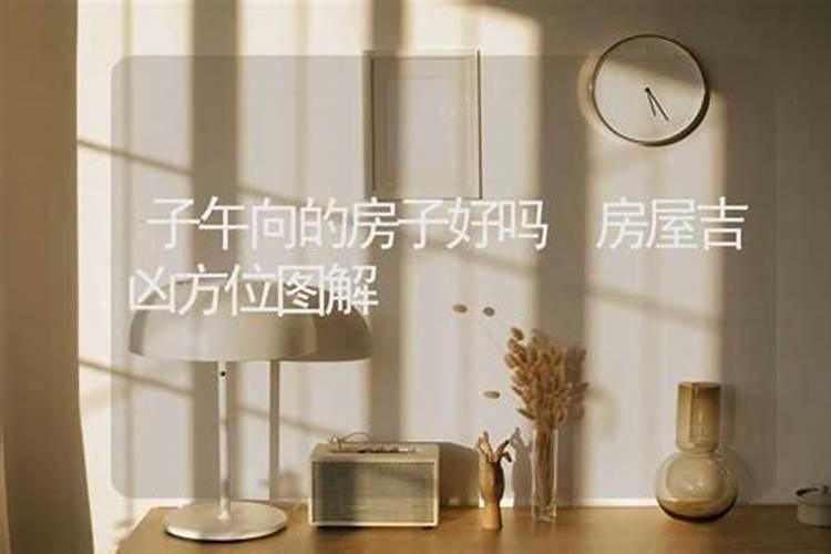 子午相冲什么生肖化解,十二生肖相克相冲口诀