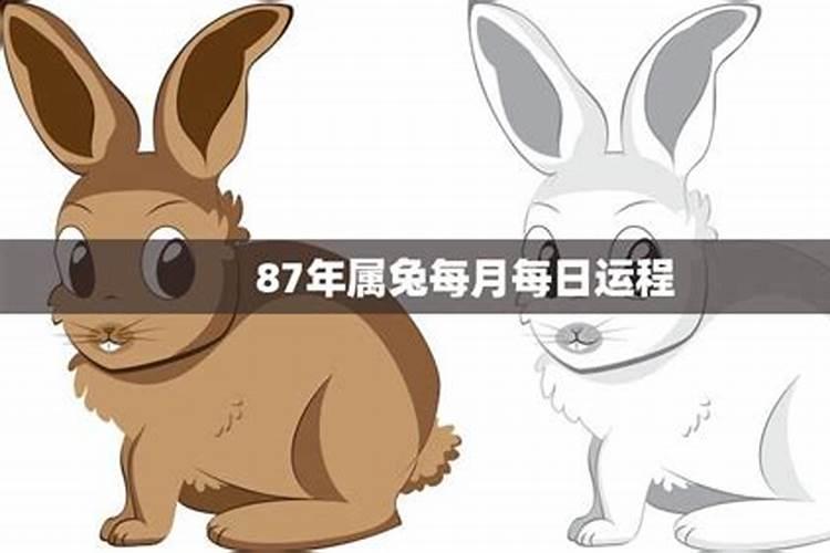 87年兔2025年运势及运程每月运程