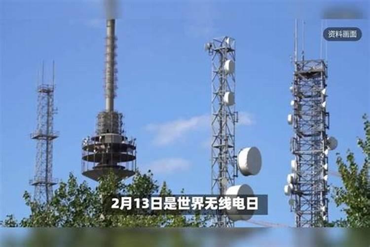 农历1995年12月25号是属猪还是鼠？