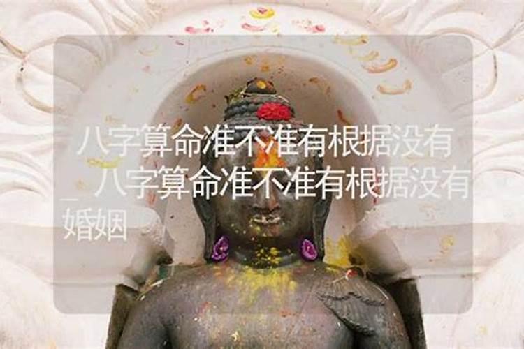 如何查属相