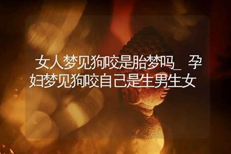 重阳节北京公园有哪些活动