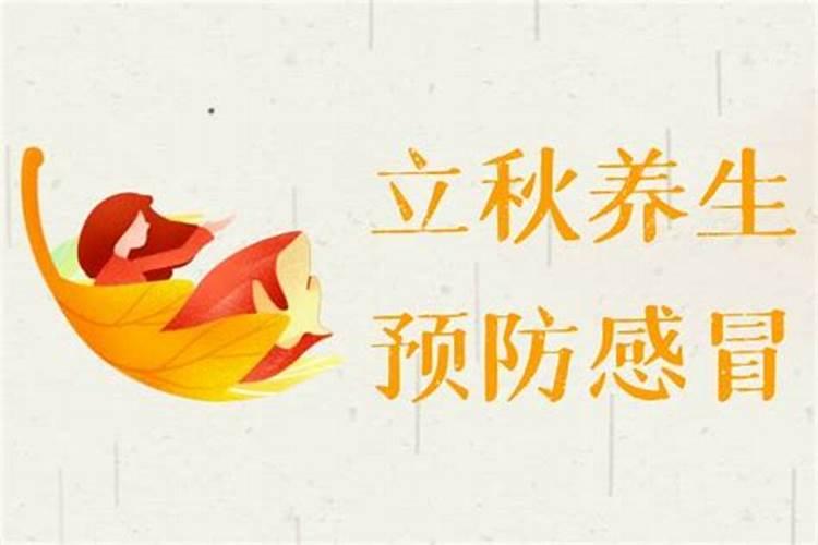 鸡鼠合不合