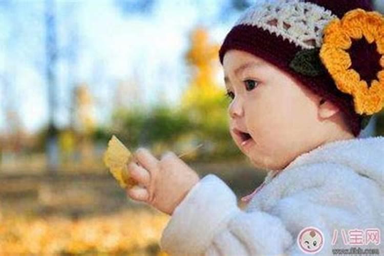 属虎人2025全年运势详解 属虎人2025年每月运势