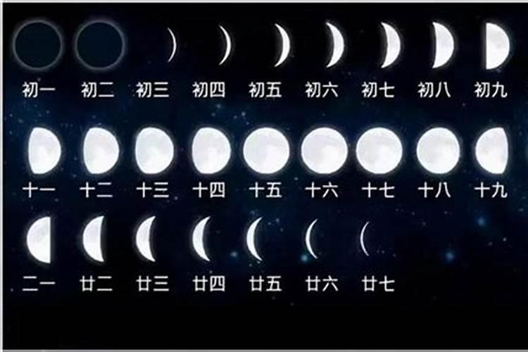 1995年属猪女2025年的运势和婚姻