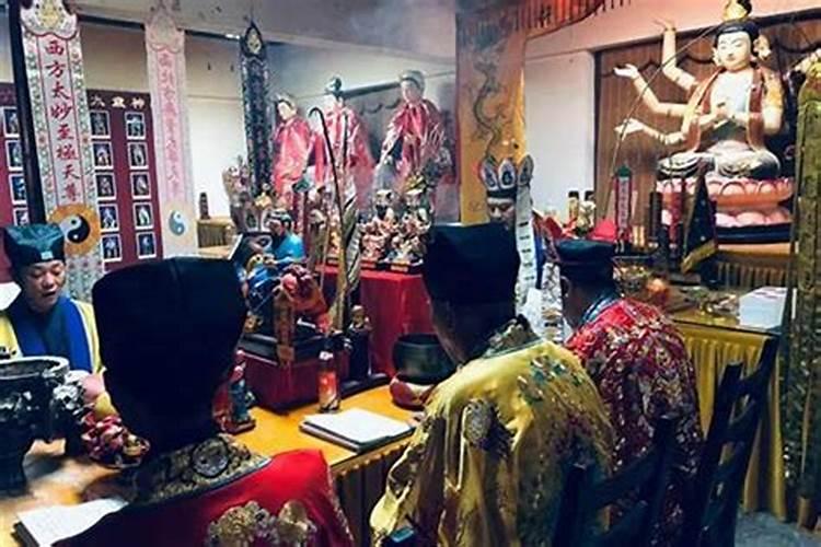 猪犯太岁的年份