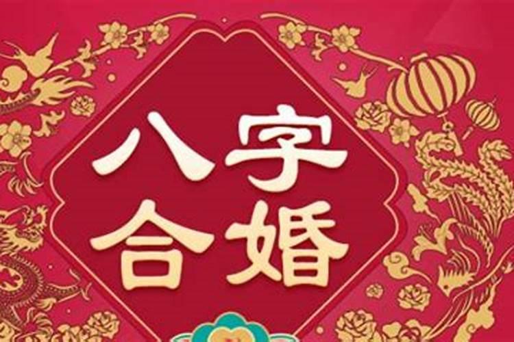 为什么属马的喜欢属狗的 属狗与属马在一起好吗