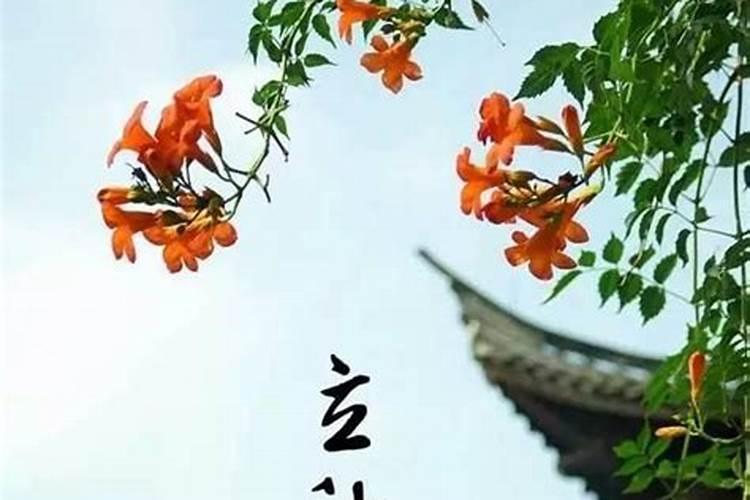 犯太岁要穿红色内衣内裤吗