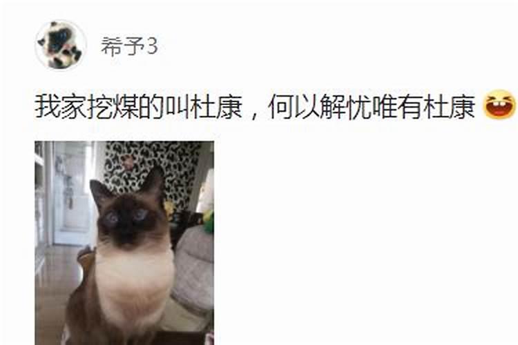 87年属兔人2024年运势及财运