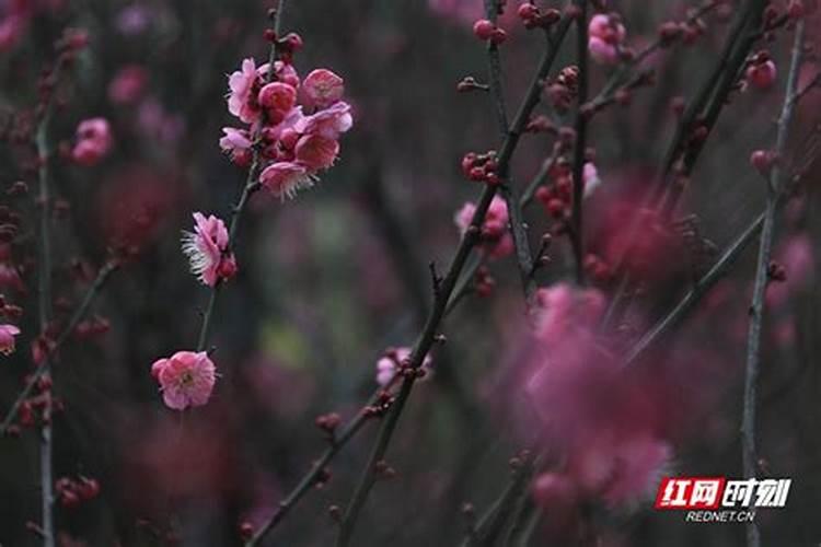 农历初一出门有什么忌讳