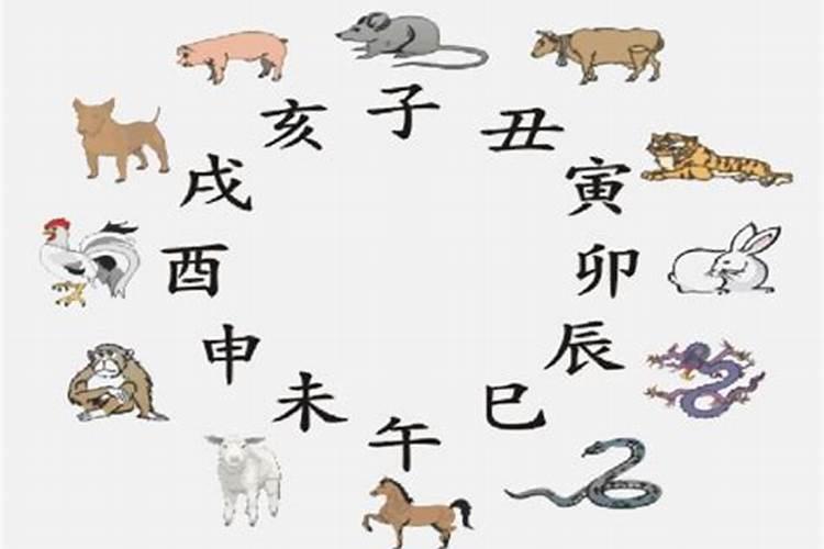 生肖虎2025年运势 属虎2025年运势及运程