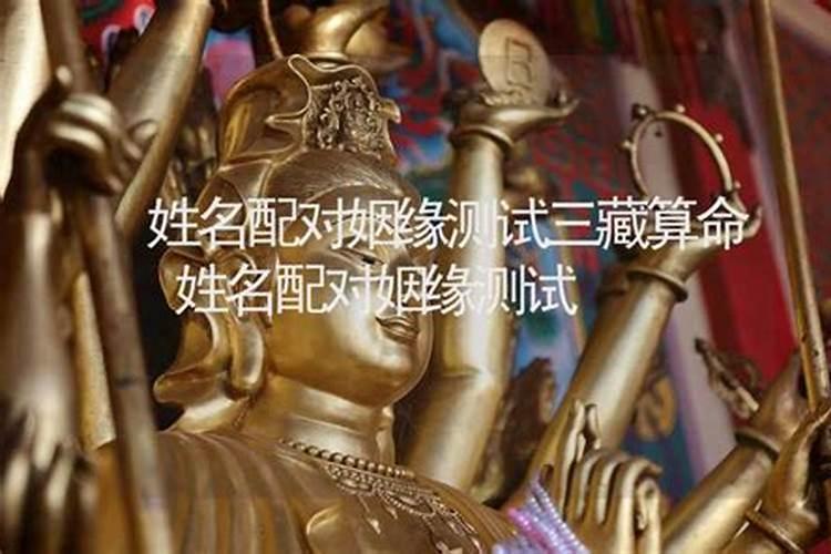 属猴2025年犯太岁吗