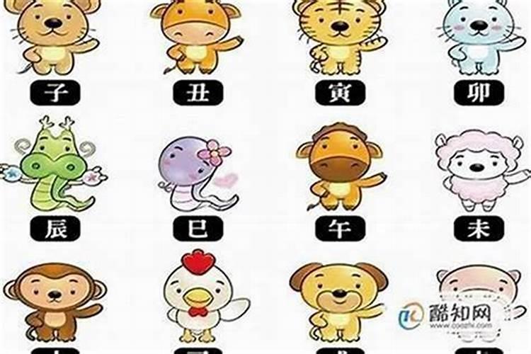 本命年财运怎么样