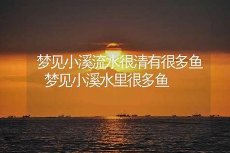 梦见清澈的水和好多鱼的预兆