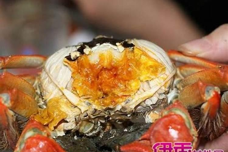 怀孕梦见蛇是什么意思