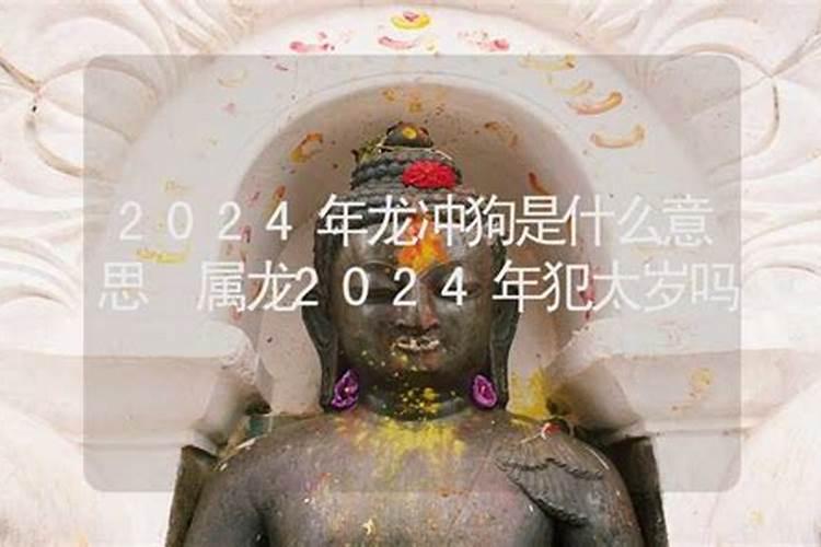 属兔跟属蛇的合不合