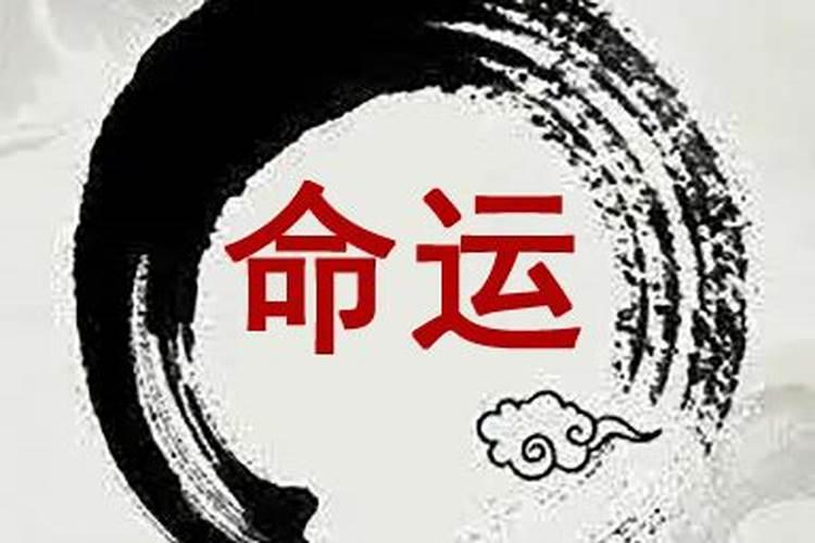 1997属牛的人命苦吗,1997年几月牛命苦