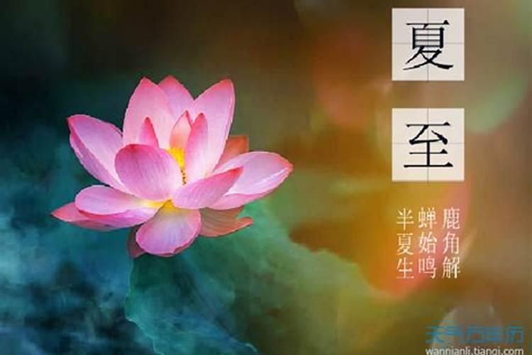 夏至节气的特点和风俗
