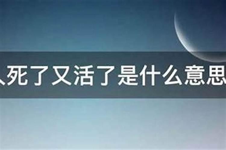 属猪2025年犯太岁怎么化解