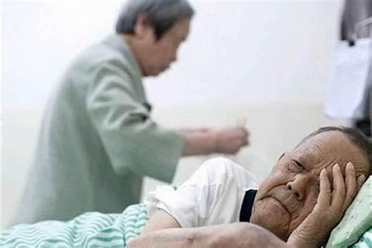 正月初一拜新年的收获怎么写一年级