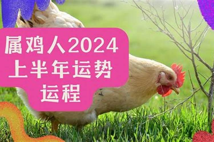 2025属鸡人的全年运势及运程如何
