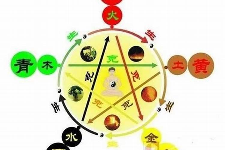 重阳节,人们有登高,赏菊,插茱萸和喝什么酒的风俗