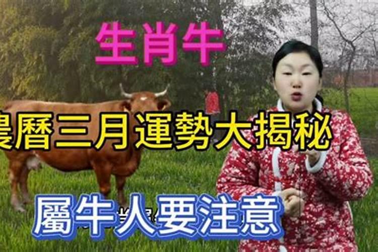 辛丑年三月十五暨4月26日出生的人命好不好