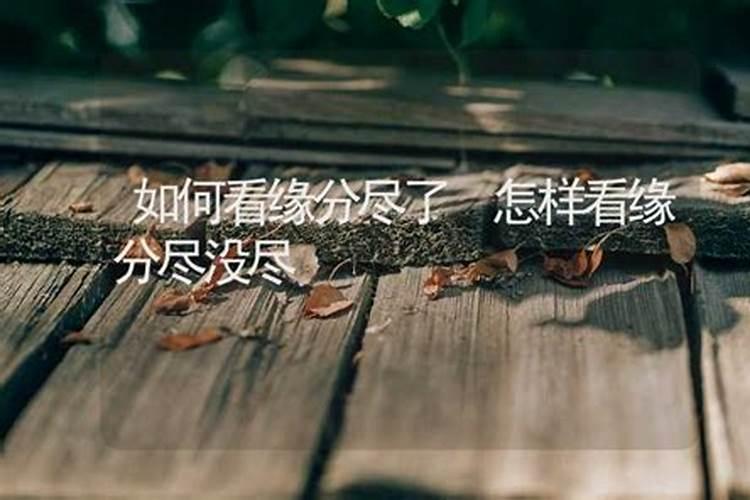 测两个人的缘分,怎样测试两个人的缘分最准确