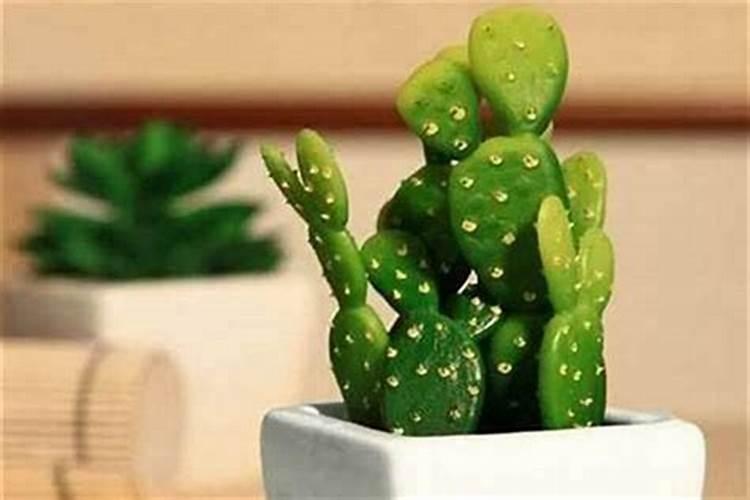 看姻缘是八字准还是星座准,算命婚姻真的准吗
