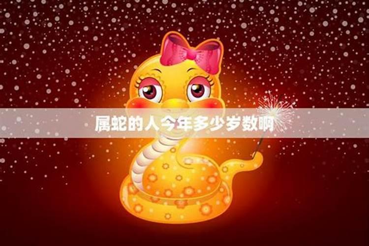 2024年属蛇多大了虚岁 不同五行的属蛇人