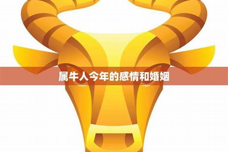 属牛和属牛婚姻会遇到坎坷吗会顺利解决吗？