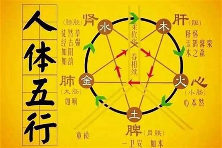 清明节怎么网上预约