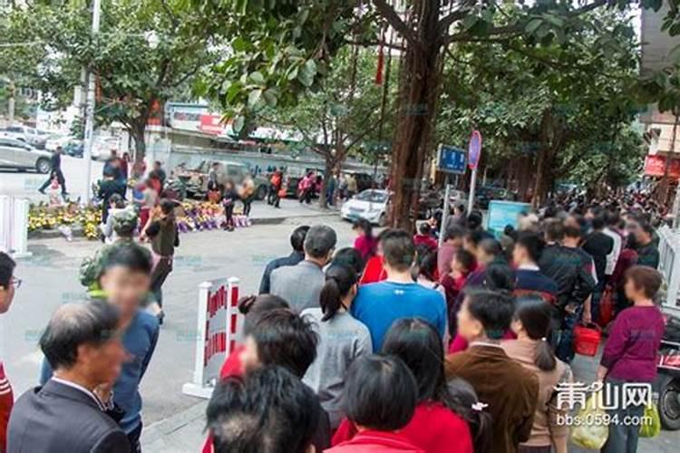 属狗爸爸和属鸡的女相冲吗,属狗和属鸡一定相冲吗