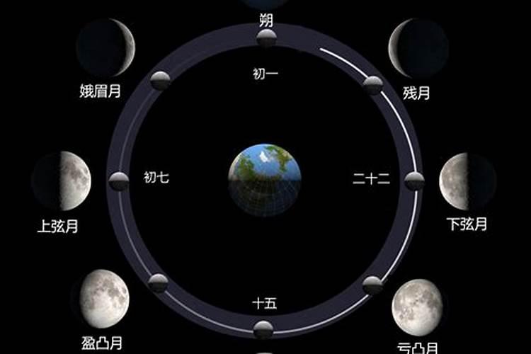 属马与属兔的属相合不合