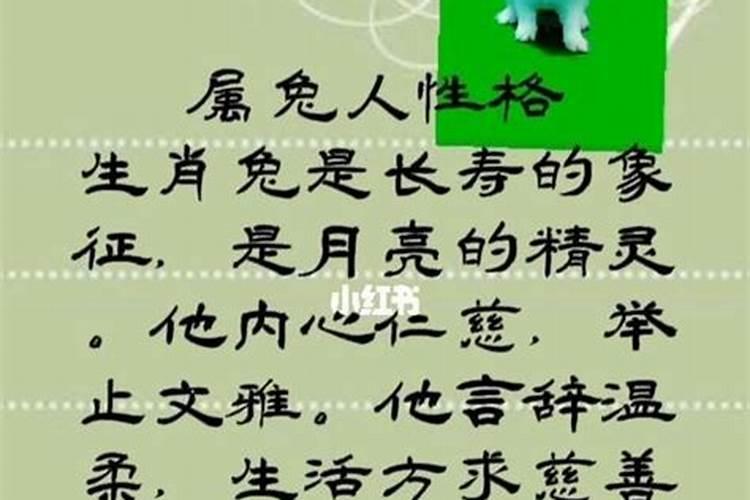 属兔人的性格和脾气好不好 幸运数字是什么