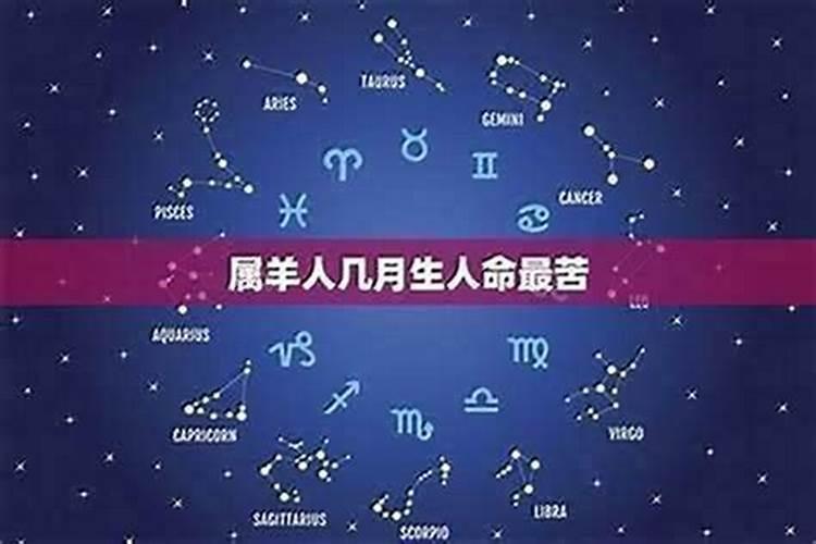 1979年属羊2024年11月份运势