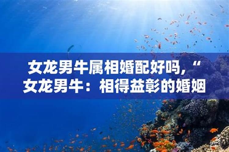 有哪位大师帮忙解说下,本人卜卦得“雷天大壮”解感情