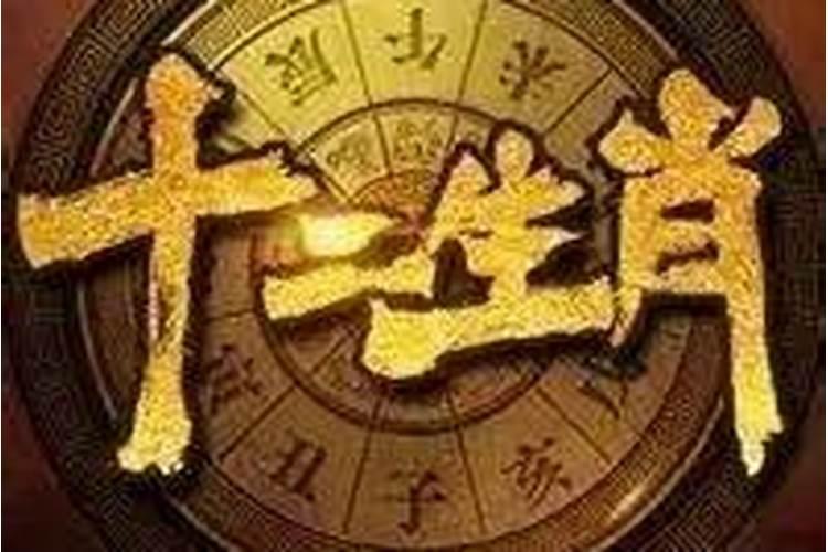 查一下我的运气,怎样查我的运气？
