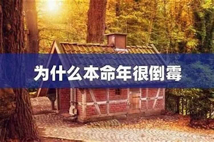 本命年运气是好还是不好