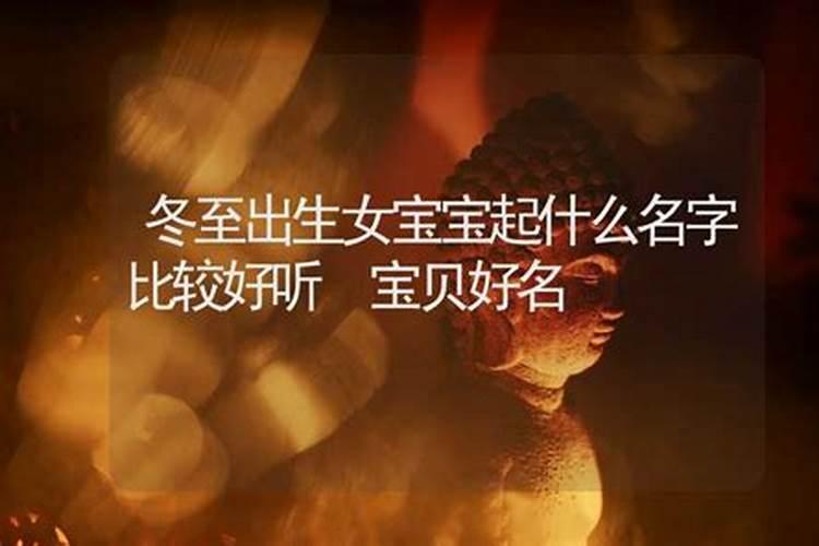 梦到壁虎会怎么样？