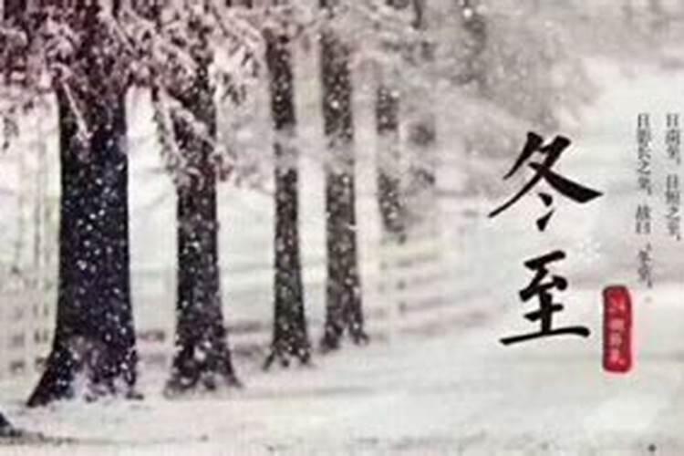 女人梦到壁虎是好事吗