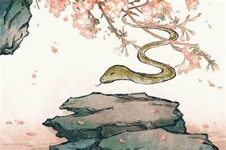属蛇带哪种饰品招财转运 属蛇带什么招财转运
