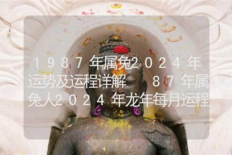 87年属兔后半生的命运晚年会越来越好？