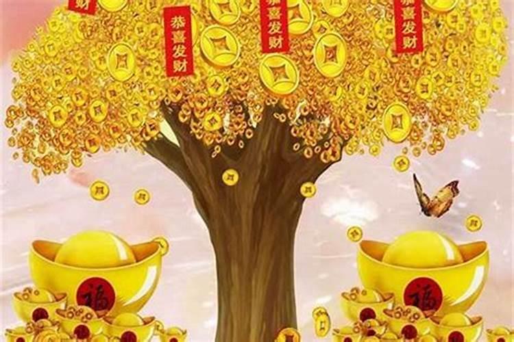 老公属龙老婆属猪生个兔宝宝好吗